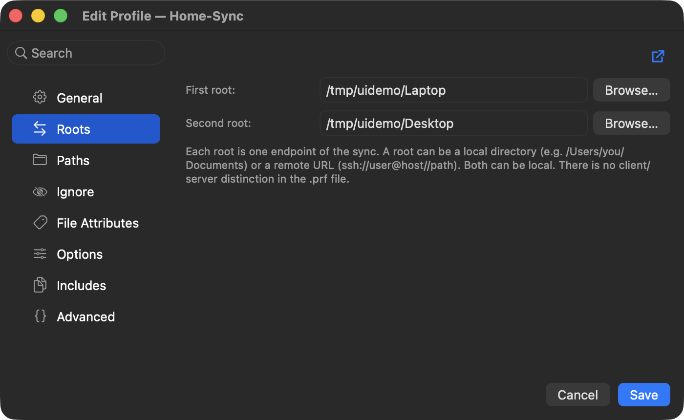 Editing a profile's local and remote (SSH) synchronization roots